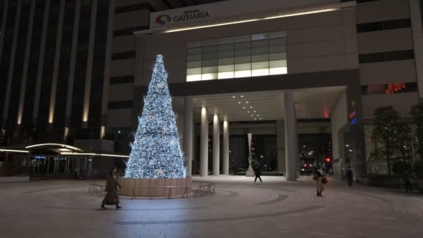 Japan Tokio Nacht Ansicht Landschaft — Stockvideo