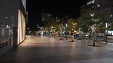 Japonya Tokyo Gece Manzarası