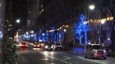 Japonya Tokyo Gece Manzarası