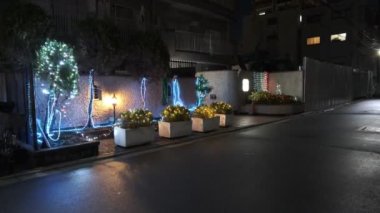 Japonya Tokyo Gece Manzarası