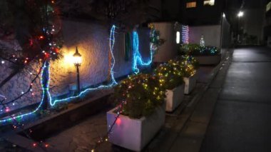 Japonya Tokyo Gece Manzarası