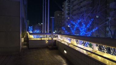 Japonya Tokyo Gece Manzarası