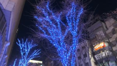 Japonya Tokyo Gece Manzarası