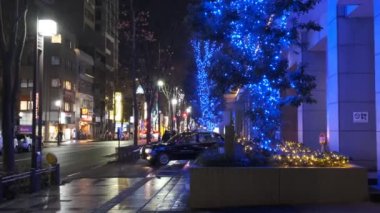 Japonya Tokyo Gece Manzarası