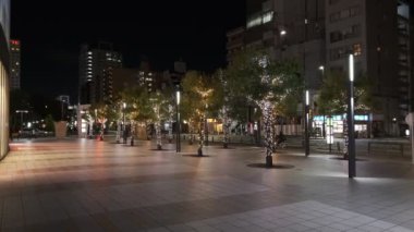 Japonya Tokyo Gece Manzarası
