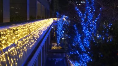 Japonya Tokyo Gece Manzarası