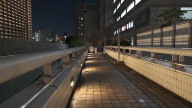 Japonya Tokyo Gece Manzarası