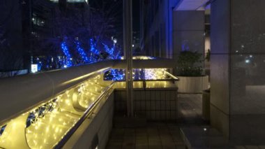 Japonya Tokyo Gece Manzarası