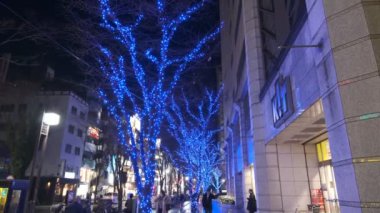 Japonya Tokyo Gece Manzarası