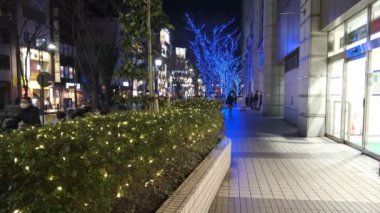 Japonya Tokyo Gece Manzarası