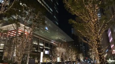 Japonya Tokyo Gece Manzarası