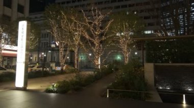 Japonya Tokyo Gece Manzarası