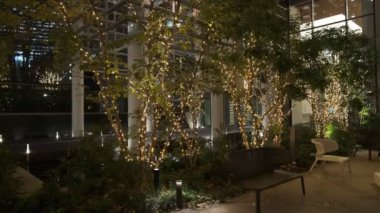 Japonya Tokyo Gece Manzarası