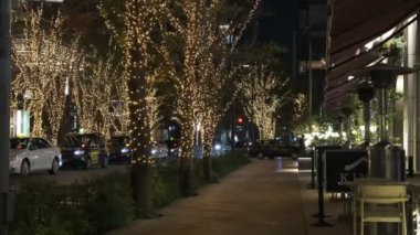 Japonya Tokyo Gece Manzarası