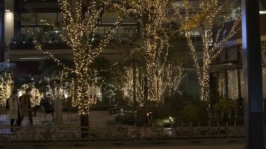 Japonya Tokyo Gece Manzarası