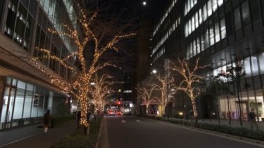 Japonya Tokyo Gece Manzarası