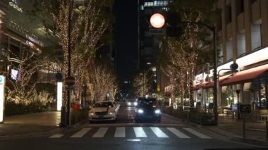 Japonya Tokyo Gece Manzarası