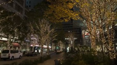 Japonya Tokyo Gece Manzarası