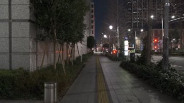 Japonya Tokyo Gece Manzarası