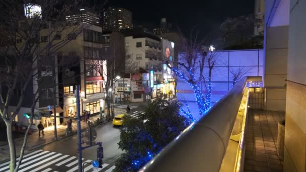 Японский Ночной Пейзаж — стоковое видео