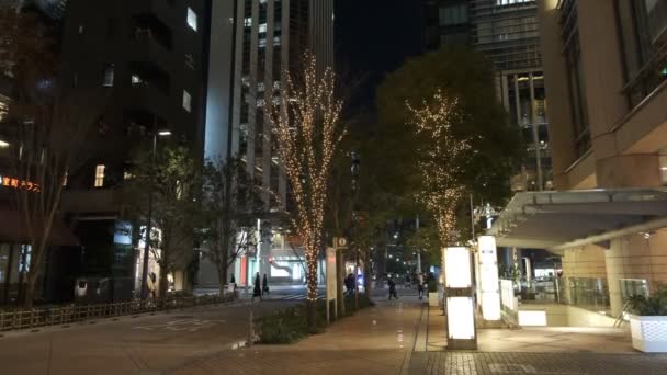 Japón Tokio Vista Nocturna Paisaje — Vídeos de Stock