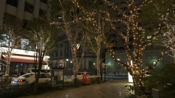 Japonia Tokyo Vedere Noapte Peisaj — Videoclip de stoc