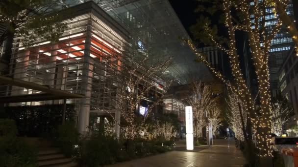 Japón Tokio Vista Nocturna Paisaje — Vídeos de Stock