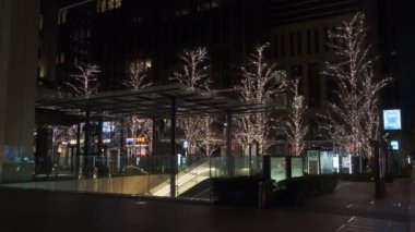 Japonya Tokyo Gece Manzarası