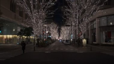 Japonya Tokyo Gece Manzarası