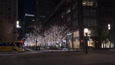 Japonya Tokyo Gece Manzarası