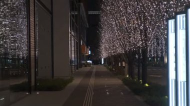 Japonya Tokyo Gece Manzarası