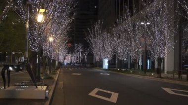 Japonya Tokyo Gece Manzarası