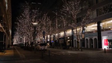 Japonya Tokyo Gece Manzarası