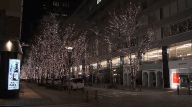 Japonya Tokyo Gece Manzarası