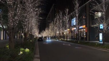 Japonya Tokyo Gece Manzarası
