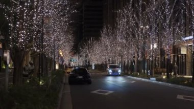 Japonya Tokyo Gece Manzarası
