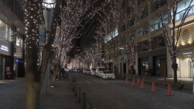 Japonya Tokyo Gece Manzarası