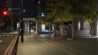 Japonya Tokyo Gece Manzarası