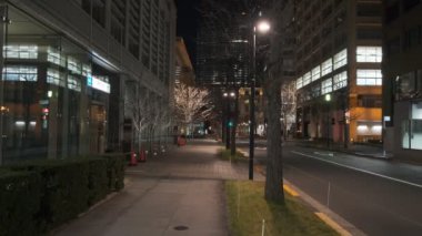 Japonya Tokyo Gece Manzarası