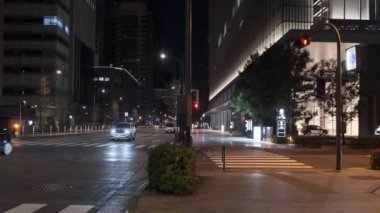 Japonya Tokyo Gece Manzarası
