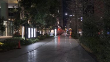 Japonya Tokyo Gece Manzarası