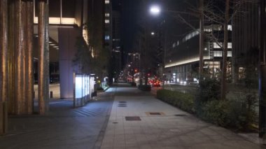 Japonya Tokyo Gece Manzarası