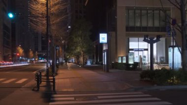 Japonya Tokyo Gece Manzarası