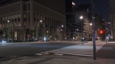 Japonya Tokyo Gece Manzarası