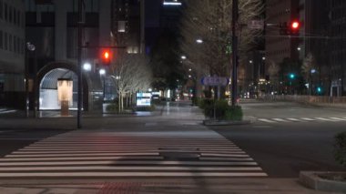 Japonya Tokyo Gece Manzarası