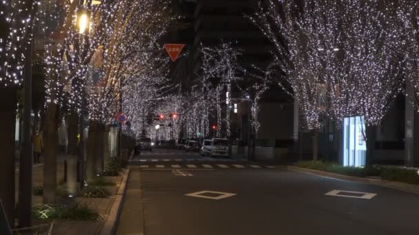 Japonsko Tokyo Noční Pohled Krajina — Stock video