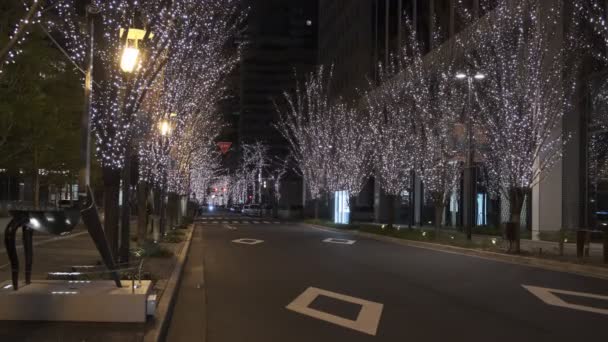 Japón Tokio Vista Nocturna Paisaje — Vídeos de Stock