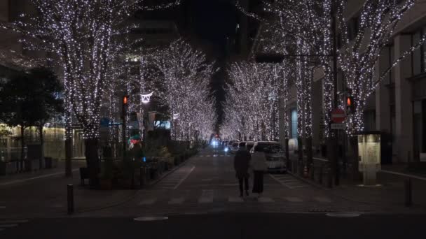 Japón Tokio Vista Nocturna Paisaje — Vídeos de Stock