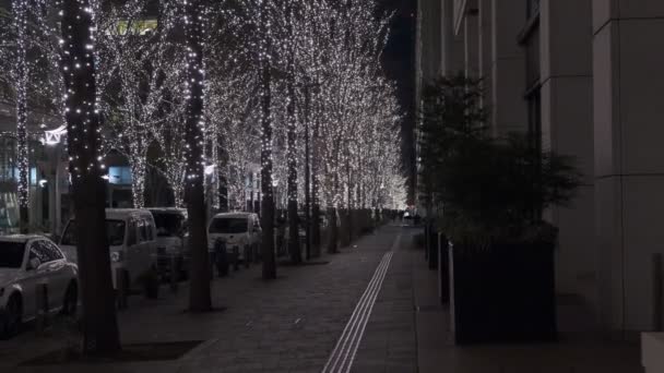 Japan Tokyo Night View Landscape — Stock Video