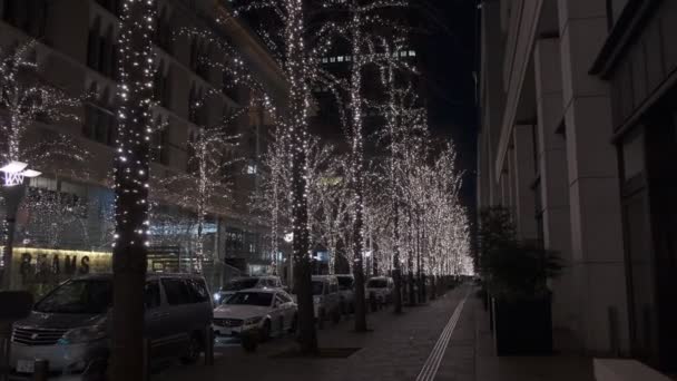 Japon Tokyo Vue Nuit Paysage — Video
